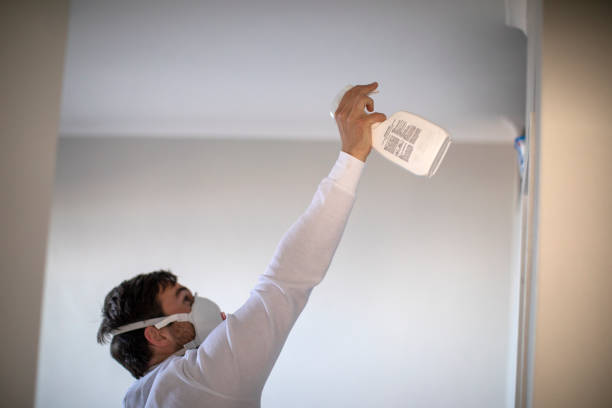 Best Professional Mold Removal  in Dundas, MN